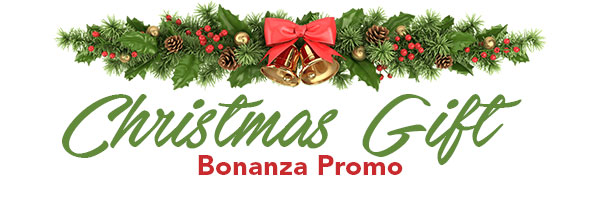 Christmas Gift Bonanza