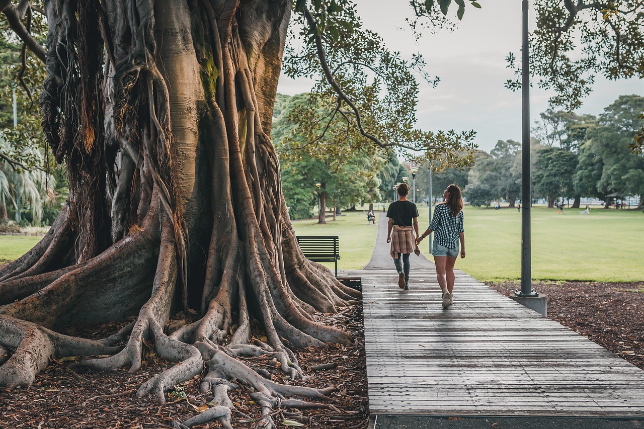 outdoor park in australia